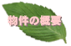 ̊Tv