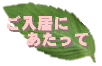 ɂ